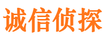 崇安侦探公司